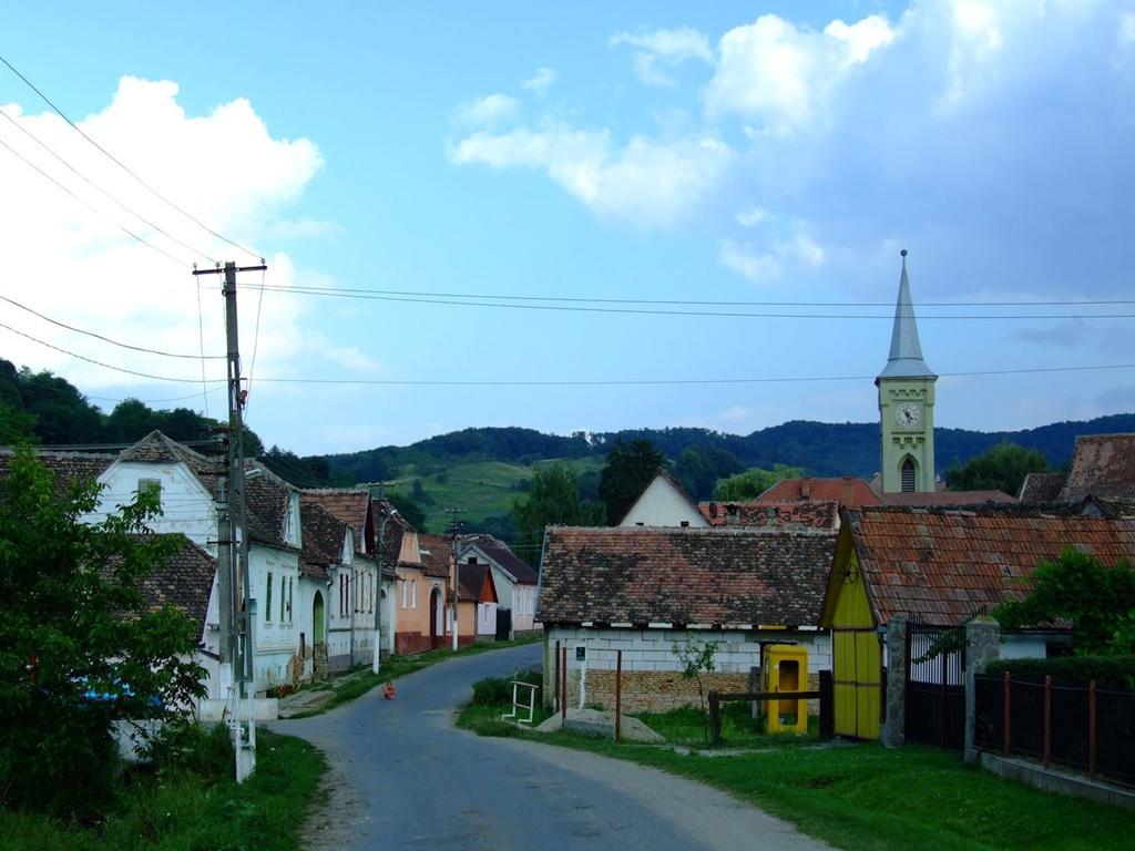 Pensiunea Liana Nemsa Exterior foto
