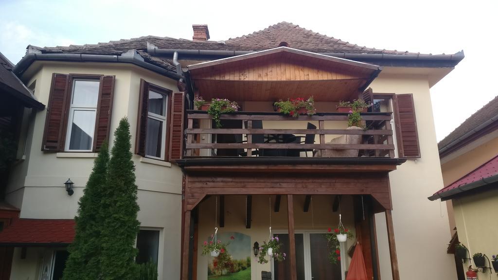 Pensiunea Liana Nemsa Exterior foto