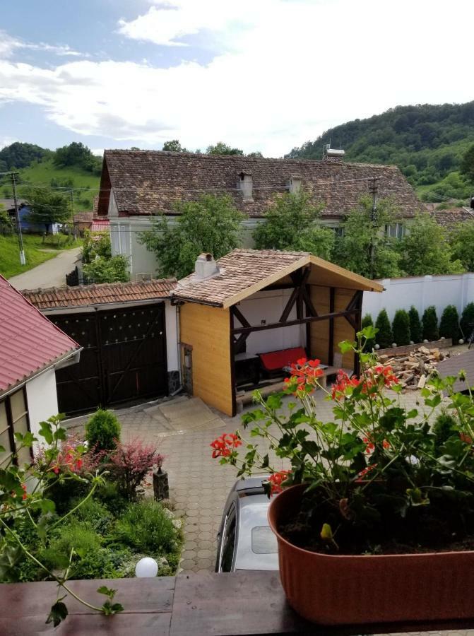 Pensiunea Liana Nemsa Exterior foto