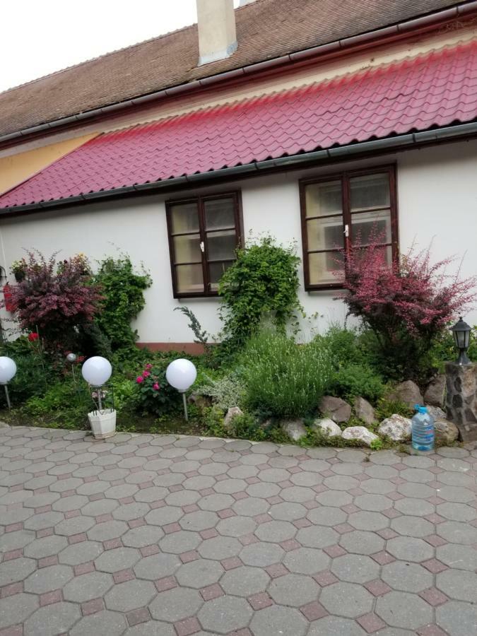 Pensiunea Liana Nemsa Exterior foto