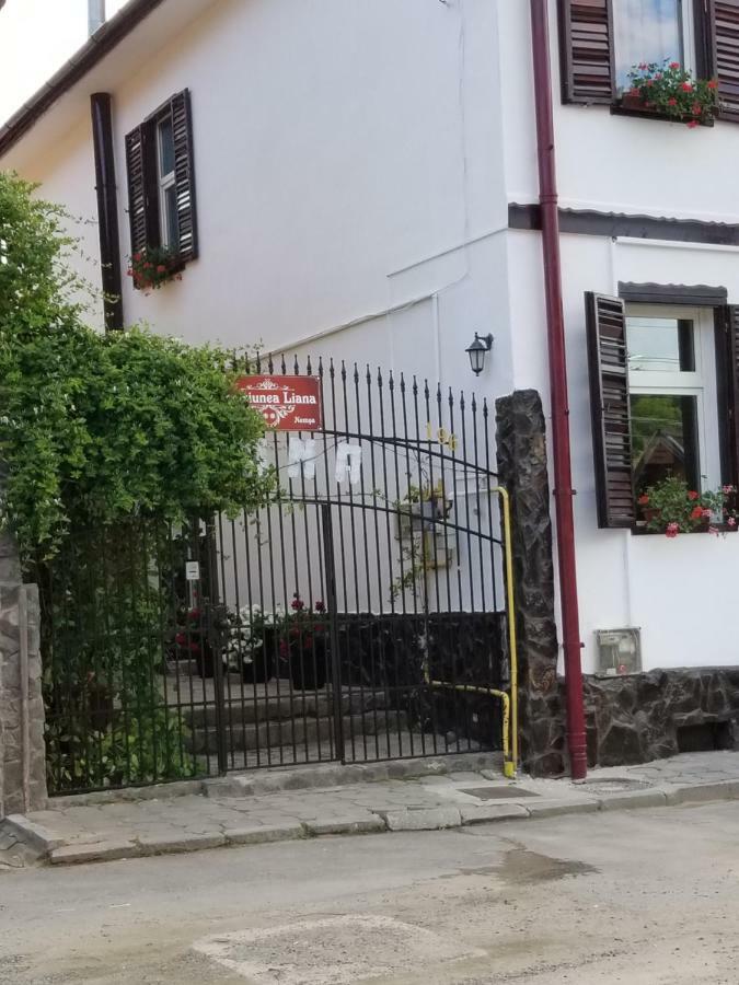 Pensiunea Liana Nemsa Exterior foto